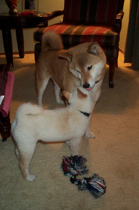 开云体育官网-扩展思维，拟定标题