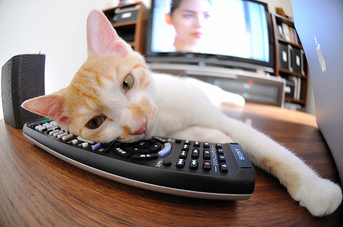 开云体育中国-中场独裁者，楚阿梅尼如何一手掌控巴萨对马里的速胜之战