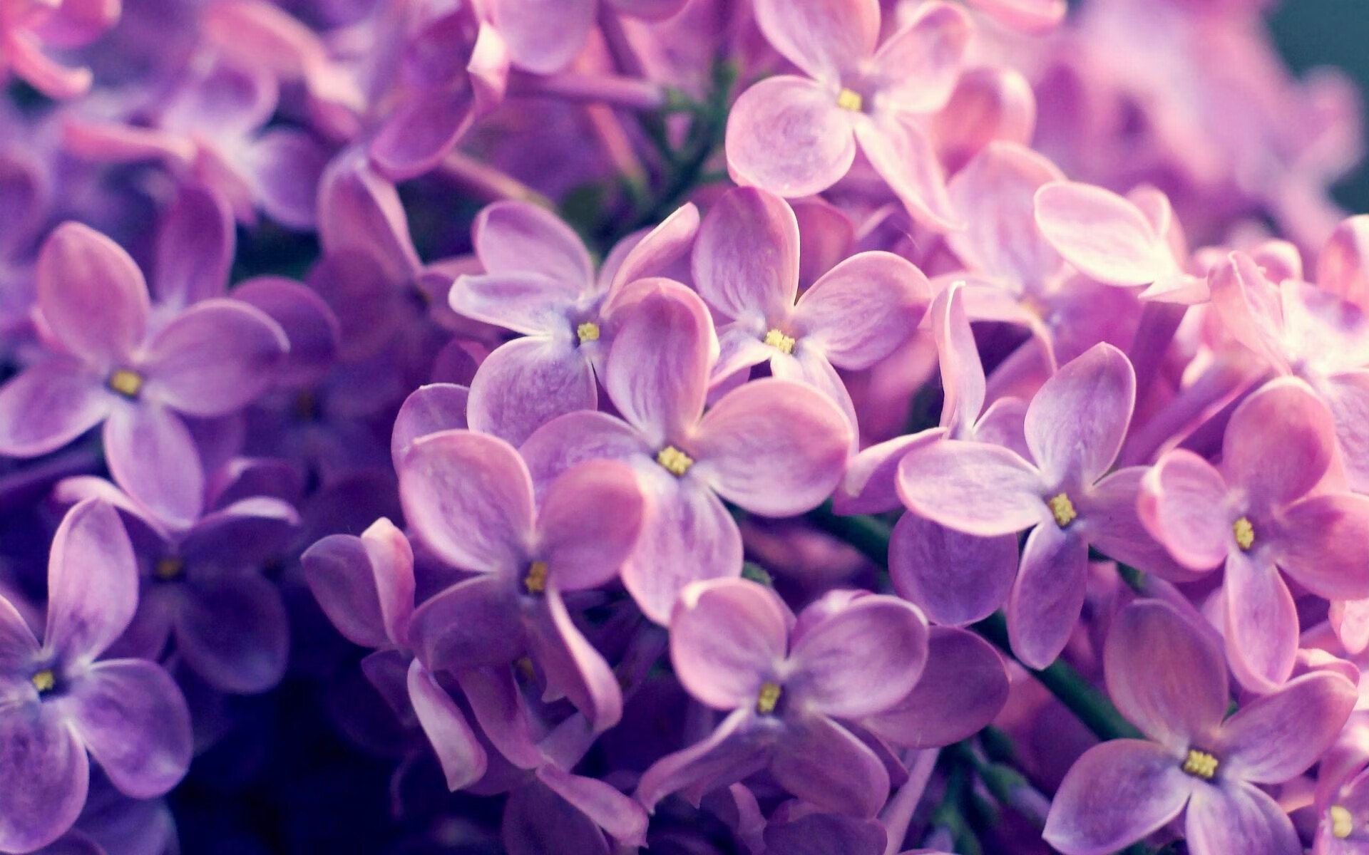 开云体育中国-厄瓜多尔提前终结悬念，巴尔韦德节奏掌控致胜土耳其