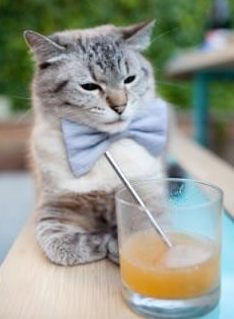 开云体育APP下载-北伦敦铁幕刺破南大王王冠，萨卡一剑封喉书写新王传说