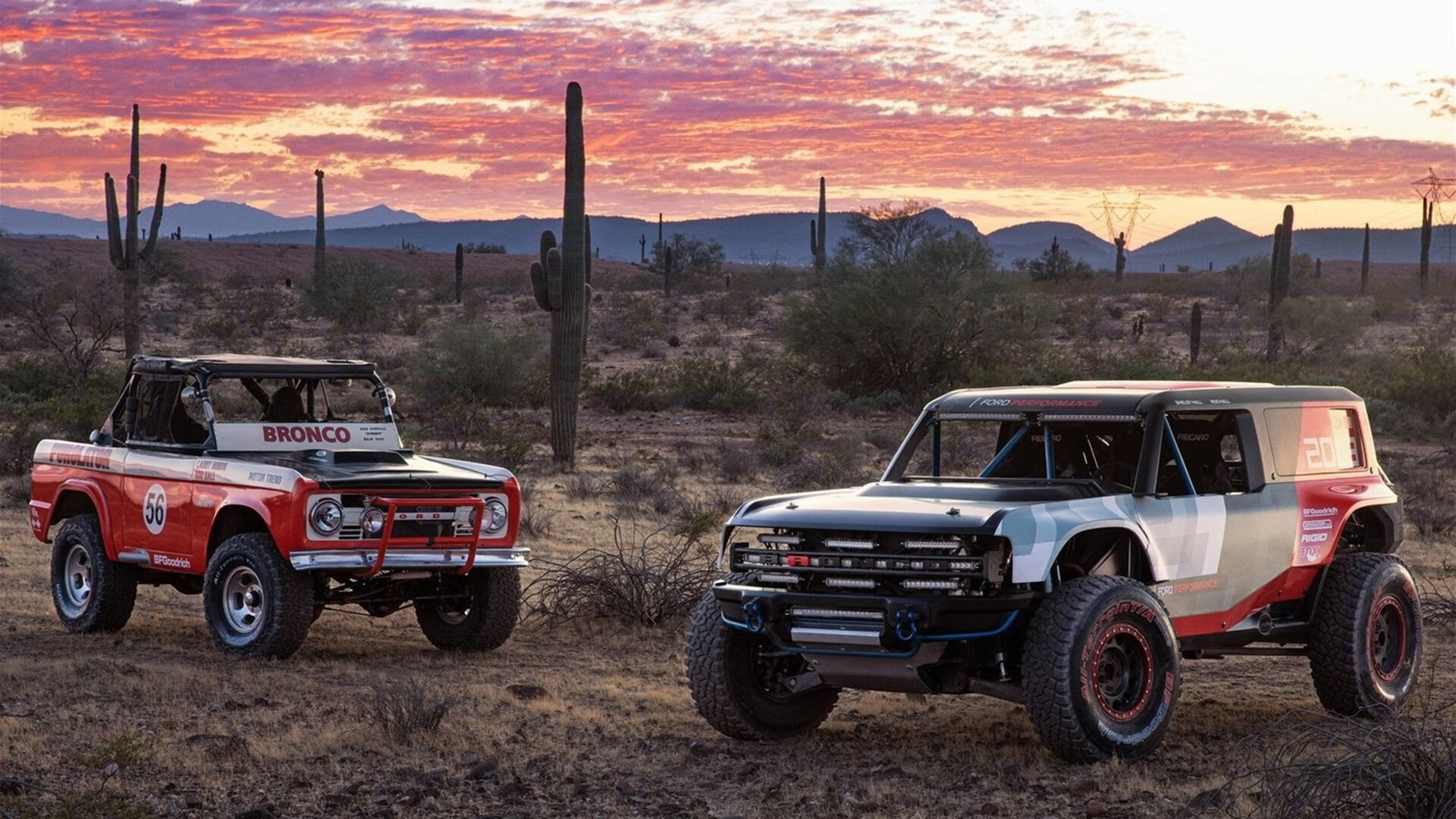 开云体育app-冰与火之歌，盐湖城巨塔与绿衫军铁血的胜利哲学