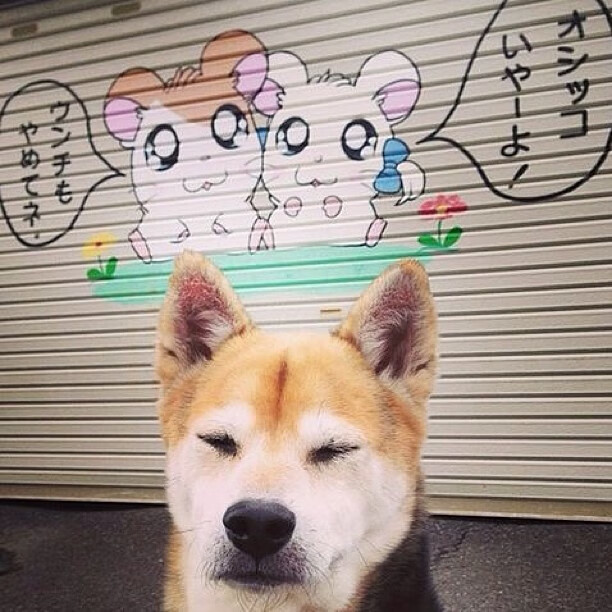 德罗赞狂暴演绎雷霆之势,提前终结吉林队悬念—一场跨联赛的篮球盛宴