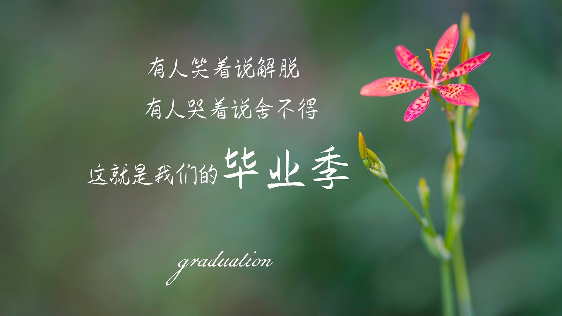 时间裂缝中的狼嚎，当2023欧文穿越时空对阵1997新疆黄金一代