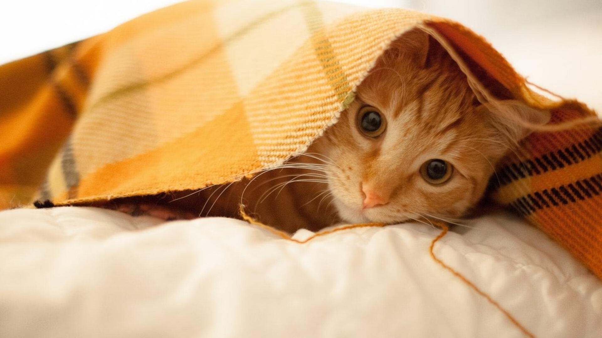 烈焰燎原，热火闪电战摧毁爵士铁壁，总决赛悬念戛然而止