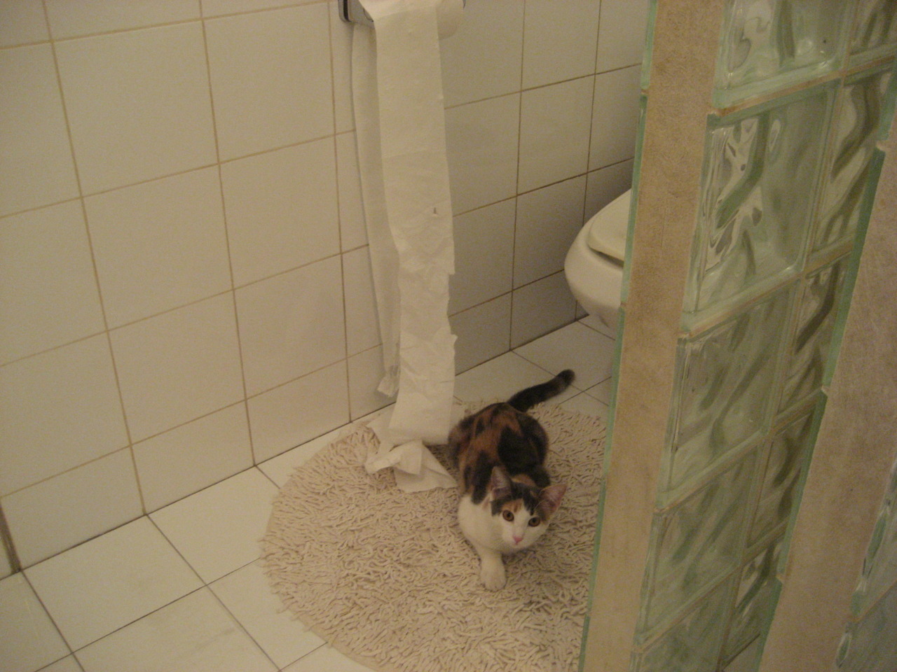 钢铁与蓝调的交响，当骑士的铁壁遇上爵士的韵律，莫兰特于无声处听惊雷