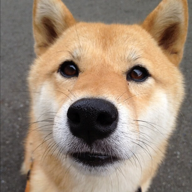 宿命黄昏，一场击碎王座的年度焦点战