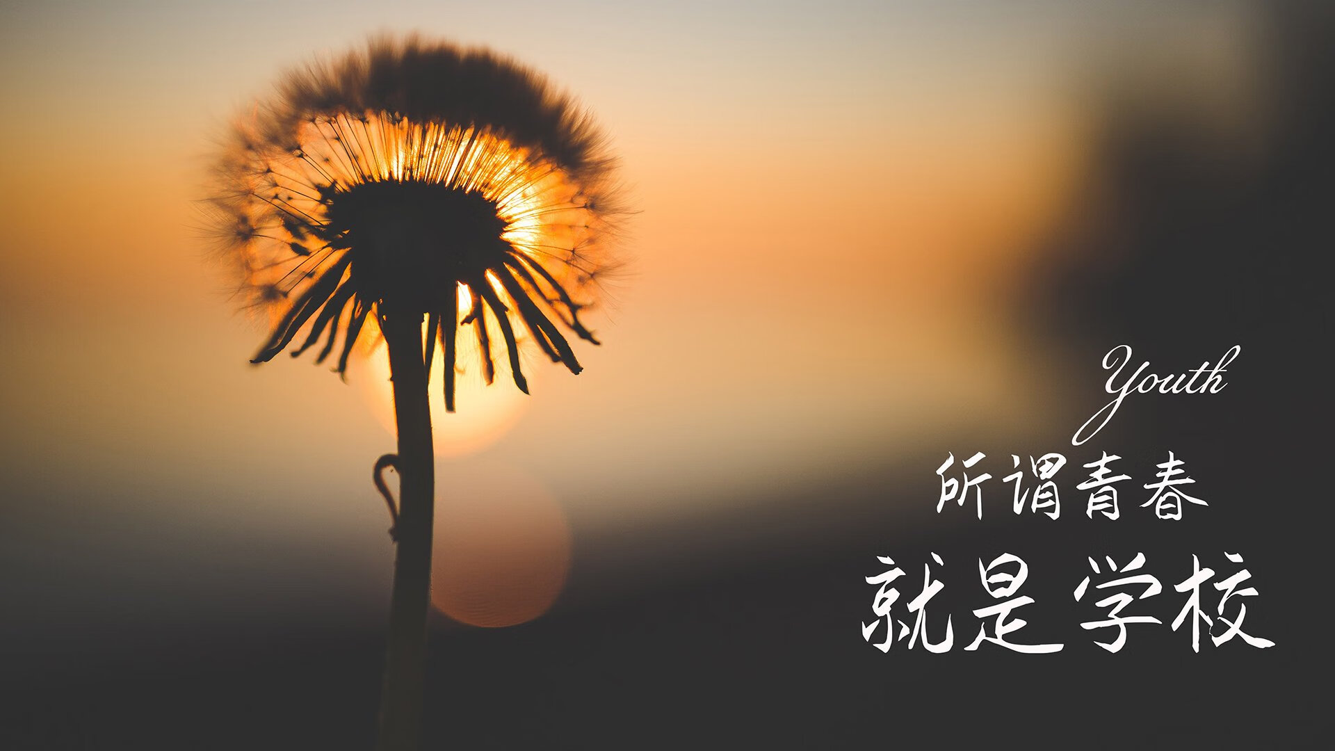 开云体育在线-2026世界杯F组颠覆之战，齐耶赫魔法主导，泰国5-1大胜比利时创历史